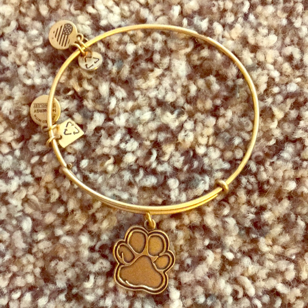 Alex and Ani bracelet